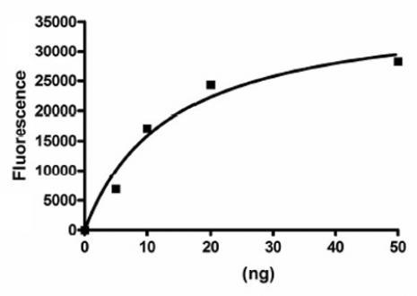 Sds+page+gel+storage