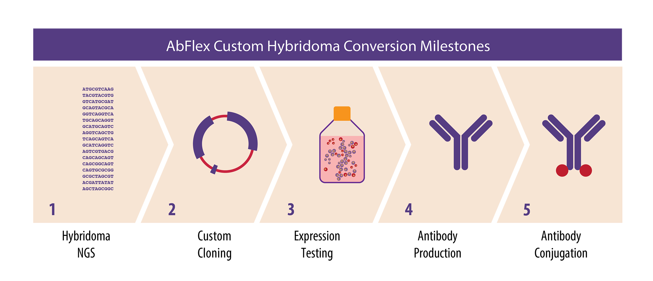 Hybridoma Conversion Services