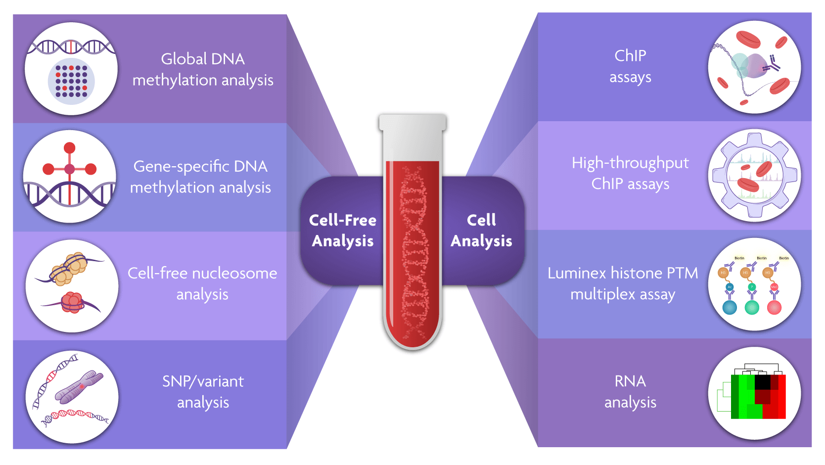 enabling-epigenetic-analysis-of-liquid-biopsy-samples