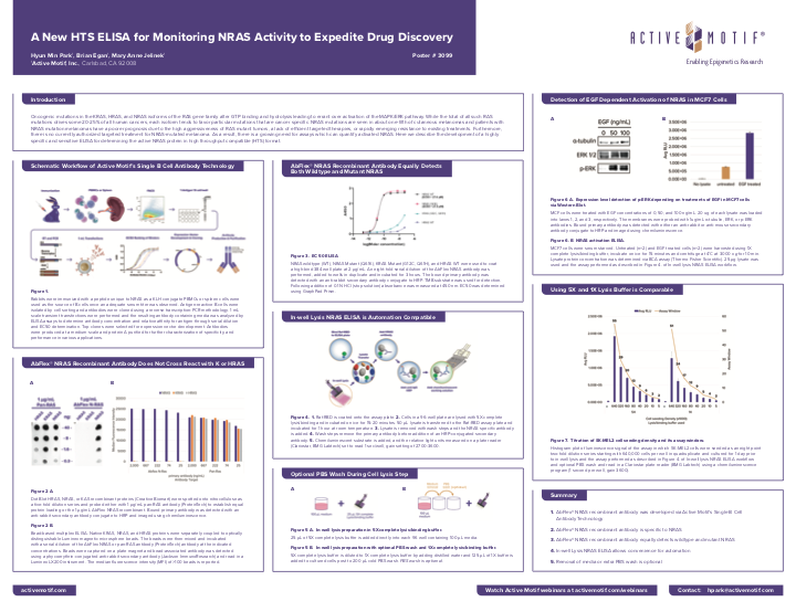 [Poster] NRAS AACR 2024