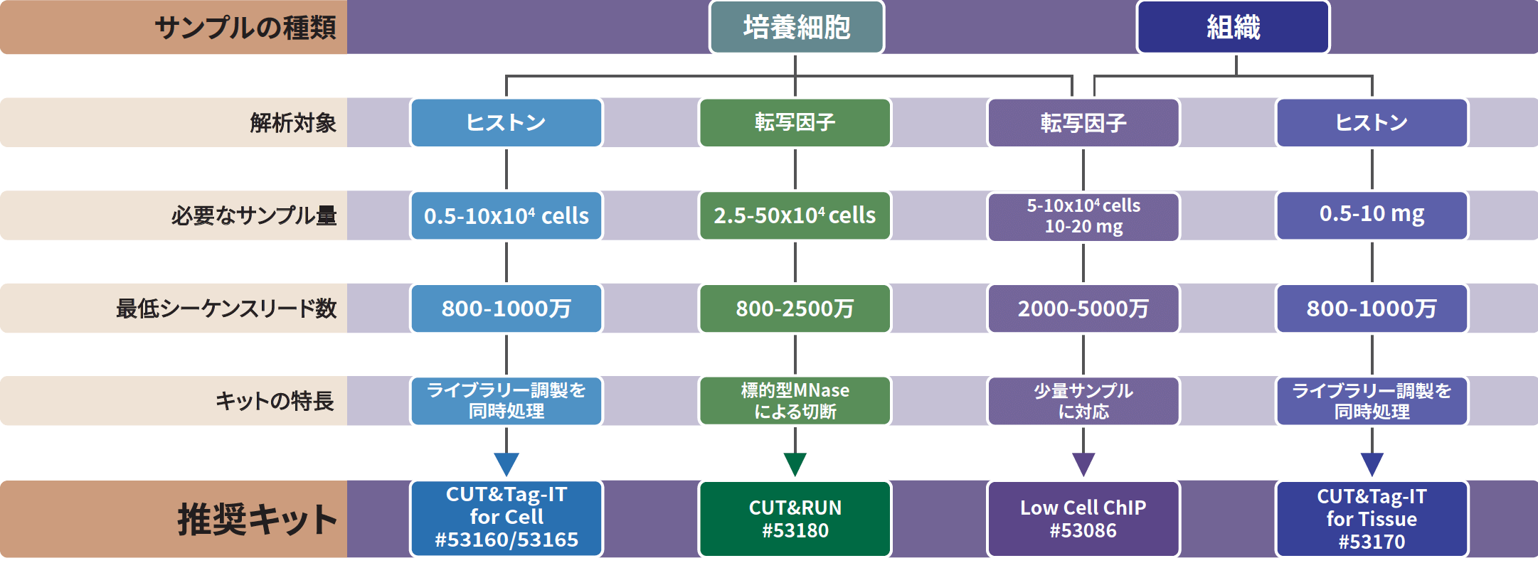 ChIPキット選択ガイド